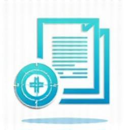 Financial Audit Icon